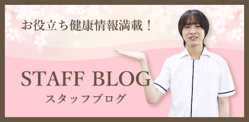 スタッフブログ